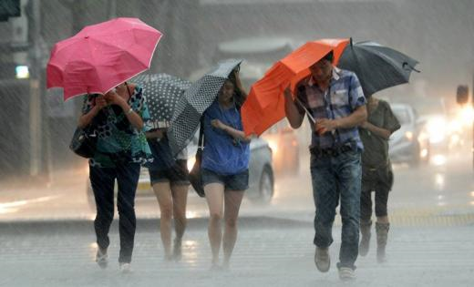 ���� ����500320.png