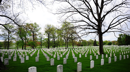 ���� ����58.png