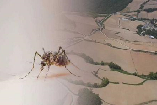 ���� ����222222222222.png