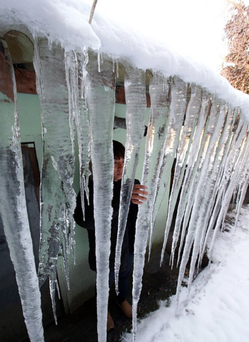 ���� ������.png