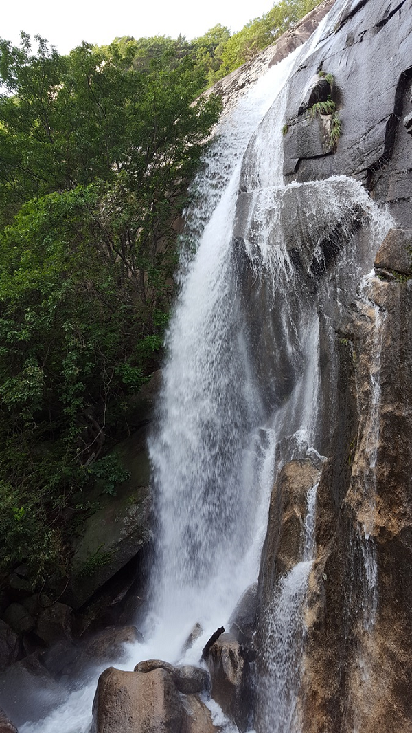 ���� ����3301.png