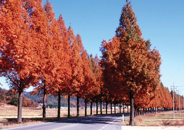 ���� ����222222222222222222222222222222222222222.png