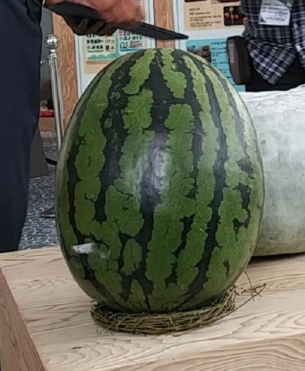 ���� ����88888888888888888888888888888888888.png