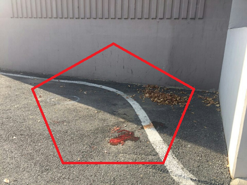 ���� ����60.png