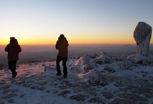 ���� ����279.png