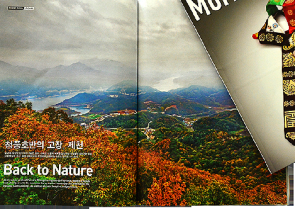 ���� ����313.png