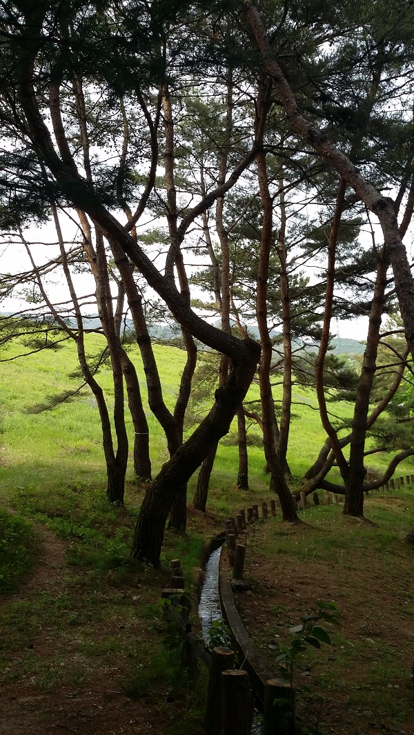 20150526130833_mzxccgwe.jpg