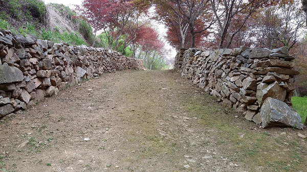 ���� ����204.png