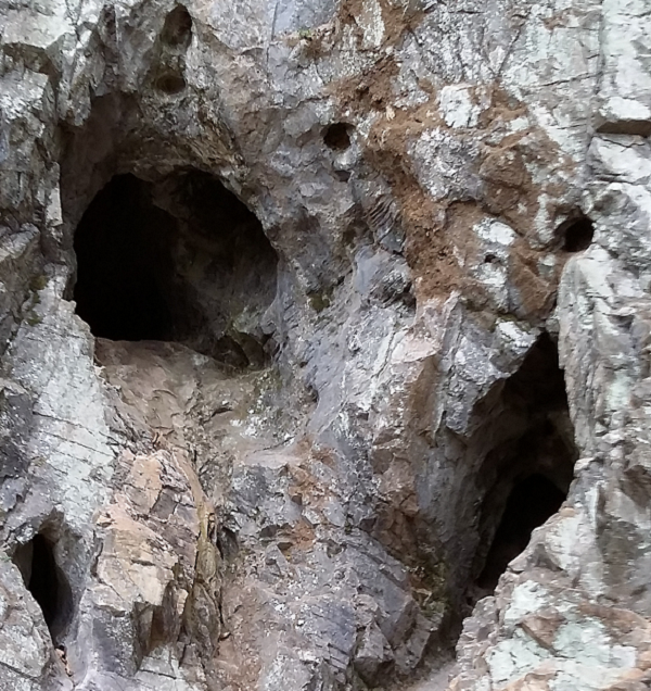 ���� ����205.png