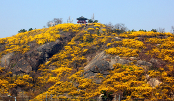 ���� ����210.png