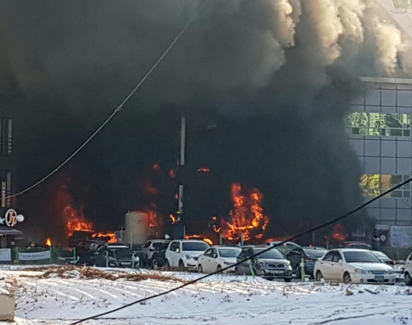 ���� ����991.png