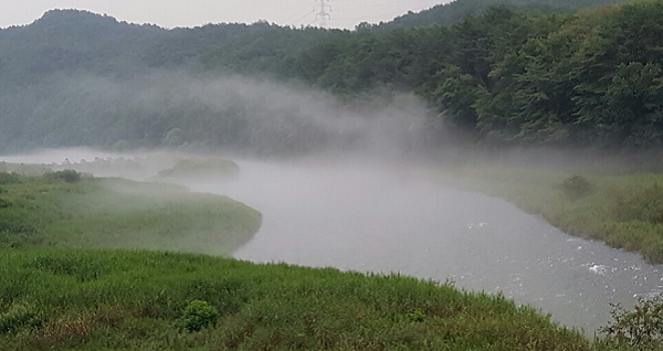 ���� ����440.png