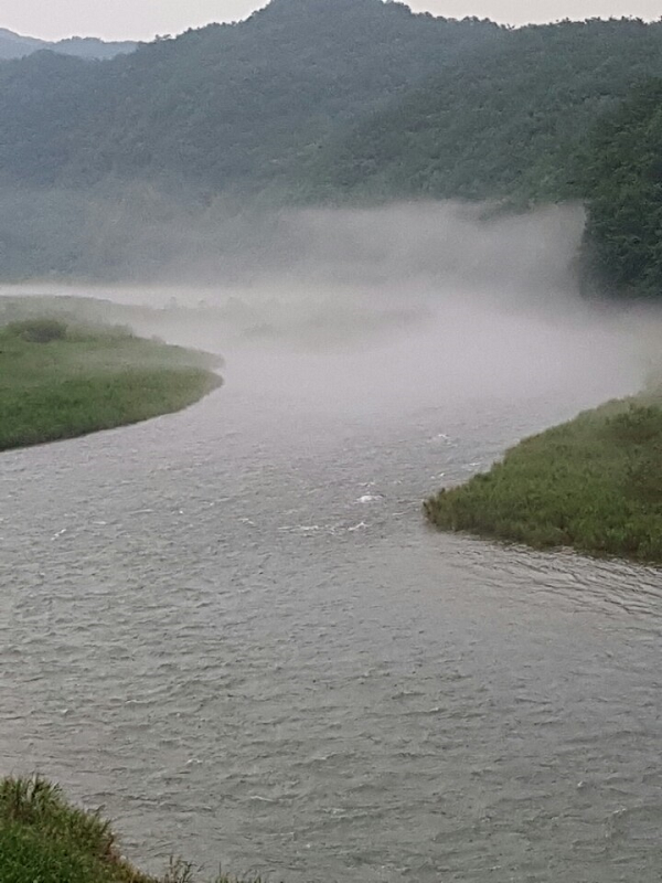 ���� ����441.png