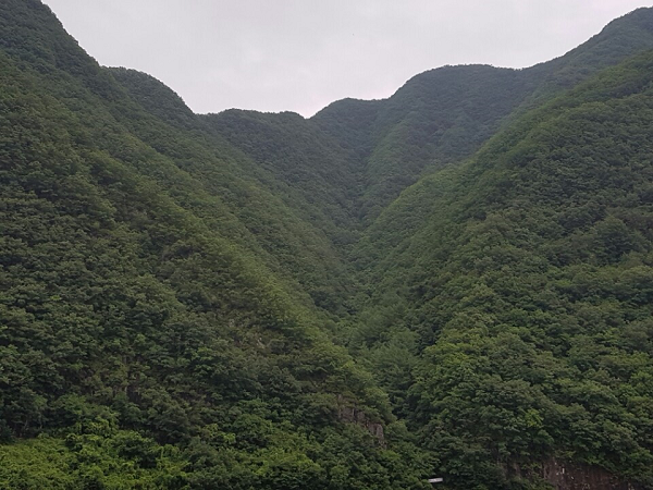 ���� ����442.png