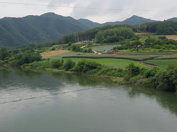 ���� ����445.png