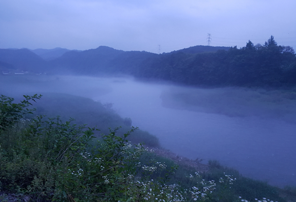 ���� ����446.png