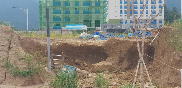 ���� ����296.png