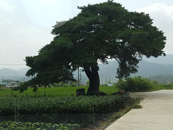 ���� ����104.png