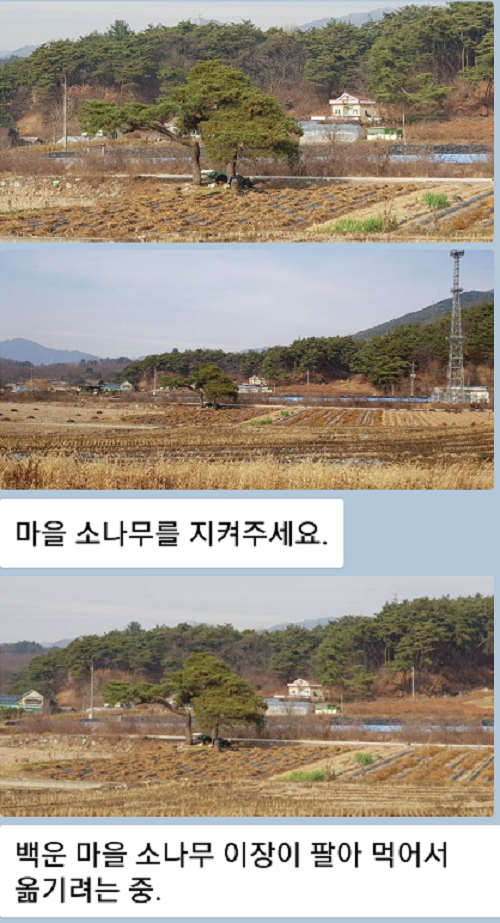 ���� ����103.png